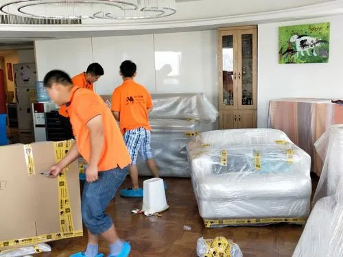 轮台精品搬家公司